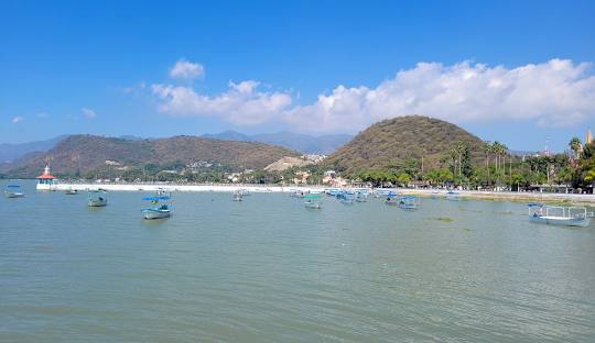 Fumigaciones en Chapala